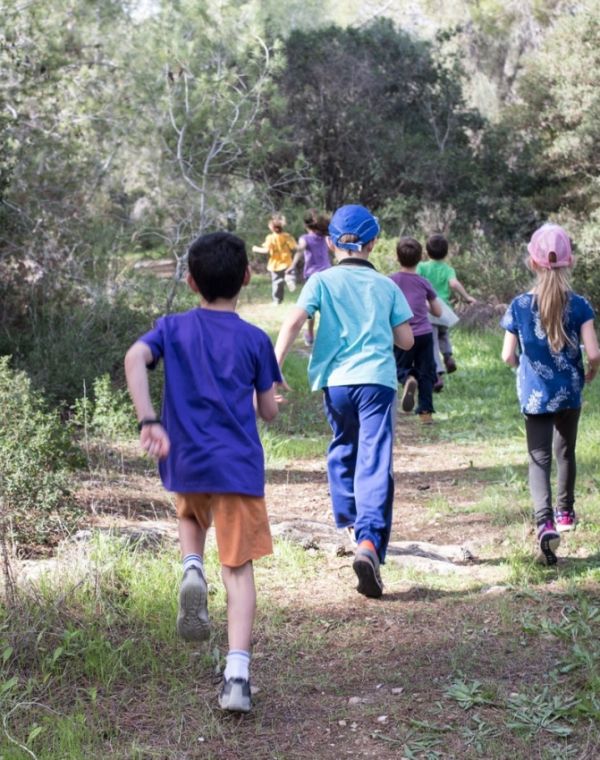 תמונה של מצפון ועד דרום: אירועי סוכות ברחבי הארץ - למטייל בישראל (טיולי)